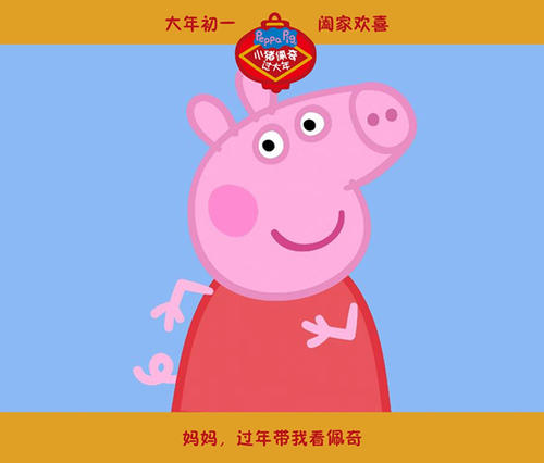 教育学院Computer Science Diploma